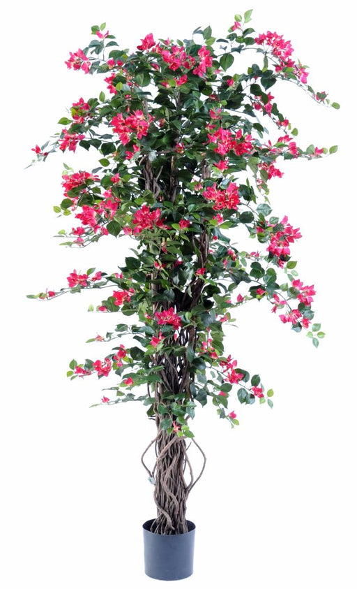 Konstgjord Bougainvillea Fuchsia 180 Cm Inomhusväxt