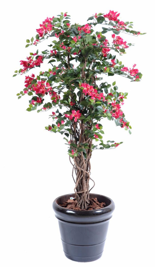 Konstgjord Bougainvillea Fuchsia 210 Cm Inomhusväxt