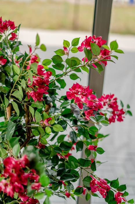 Bougainvillea Liana Fuschia - Konstgjorda Träd