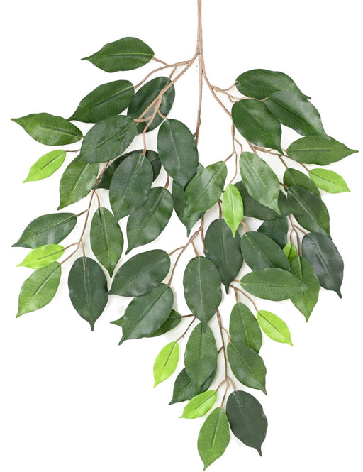 Konstgjord Ficus-Gren 60 Cm Grönt Bladverk