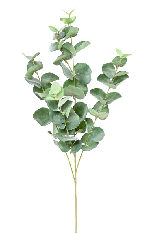 Artificiell Eucalyptus Branch Gunnii 70Cm Grön