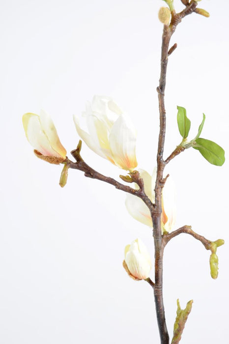 Artificiell Magnolia Gren 83 Cm Vit