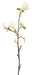 Artificiell Magnolia Gren 83 Cm Vit