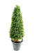 Konstgjord Buxbom Topiary 130Cm För Terrass