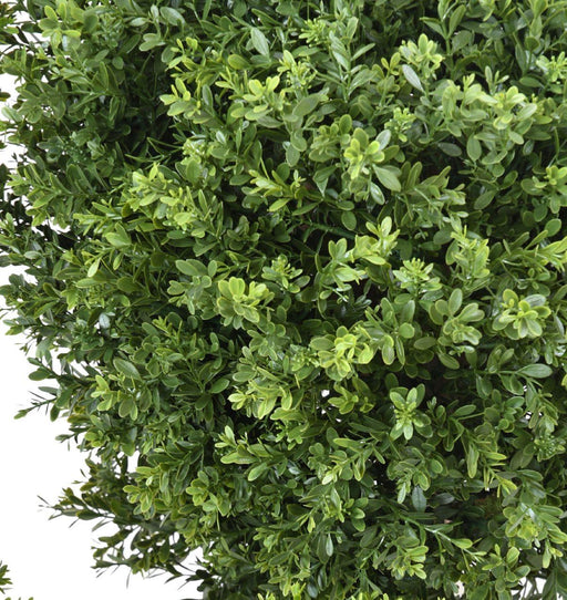 Konstgjord Buxbom Topiary UV-Resistent 60Cm Grön