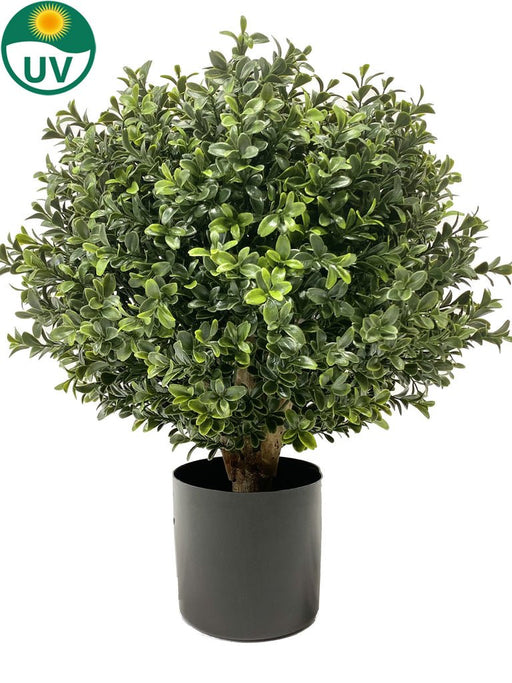 Buxus - Konstgjord Buxbom