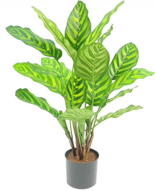 Calathea Makoyana - Konstgjord Grön Växt