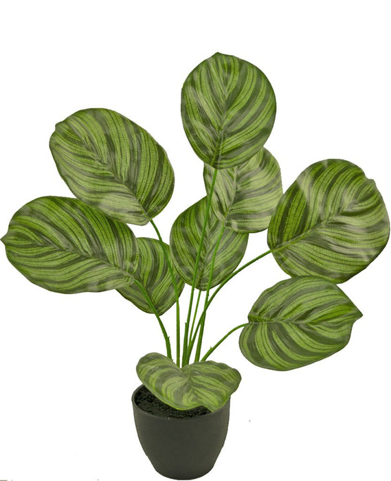 Calathea - Konstgjord Grön Växt