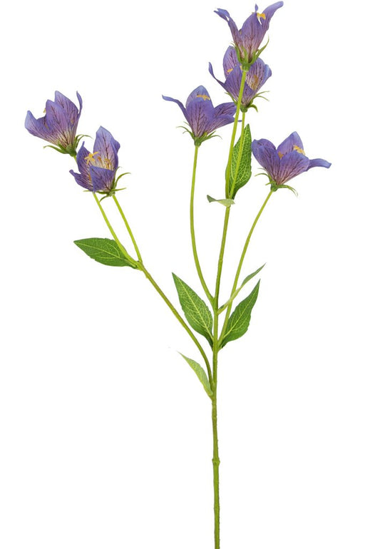 Purple Silk Campanula