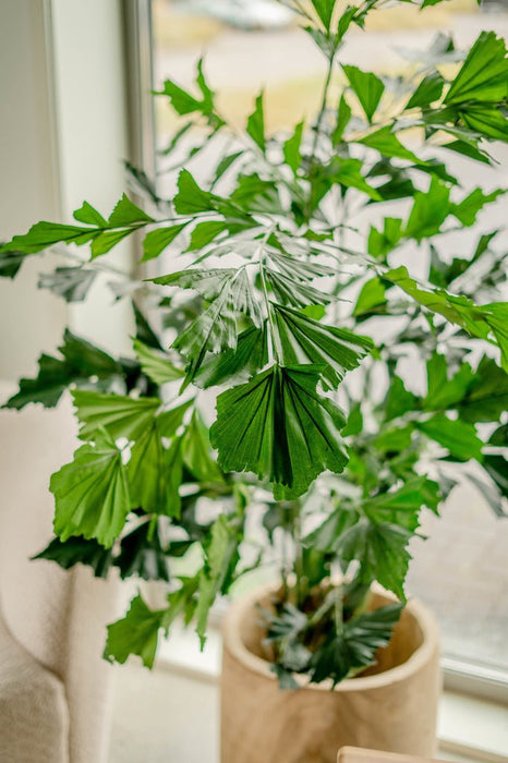 Caryota Mitis - Stor Konstgjord Växt