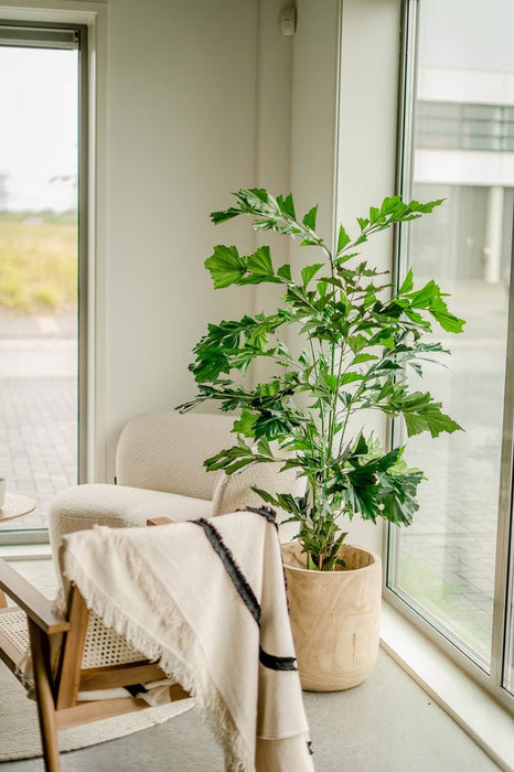 Caryota Mitis - Stor Konstgjord Växt