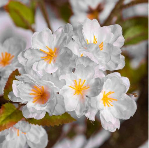 Konstgjorda Blommande Körsbärsträd 280 Cm För Dekoration