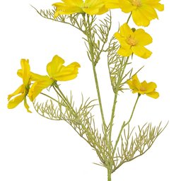 Yellow Cosmos - Konstgjord Blomgren