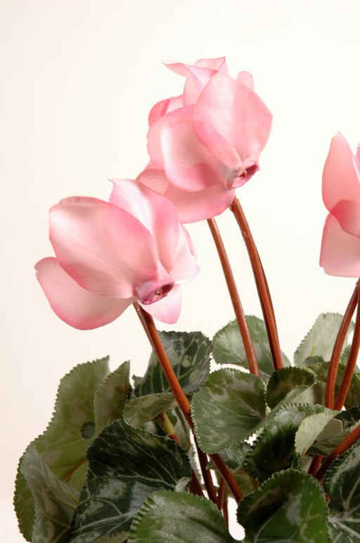 Konstgjord Cyclamen Rosa 32 Cm På Stake