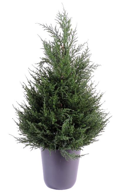 Konstgjord Cypress 65Cm För Inomhusterrass