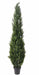 Konstgjord Cypress H.210Cm För Interiör Och Exteriör