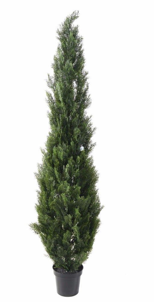 Konstgjord Cypress H.210Cm För Interiör Och Exteriör