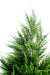 Konstgjord Cypress Juniperus 160Cm Grön Gul