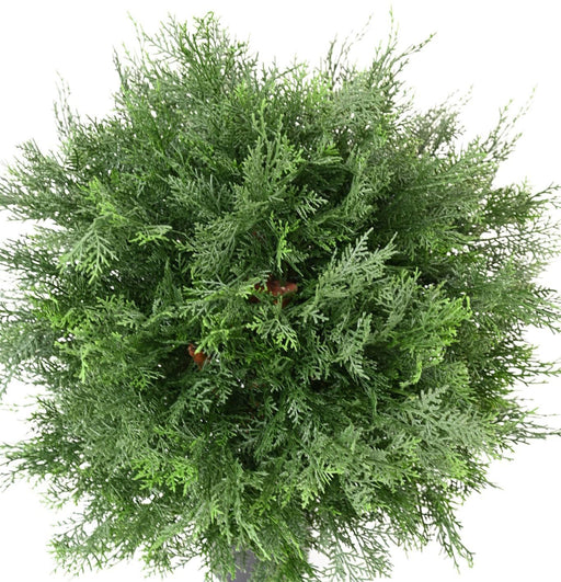 Artificiell Lawson Cypress 70Cm UV-Viktad Kruka