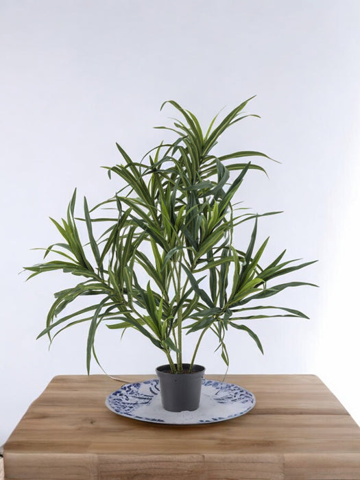 Dracaena Reflexa - Konstgjord Grön Växt