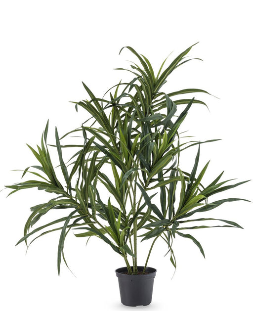 Dracaena Reflexa - Konstgjord Grön Växt