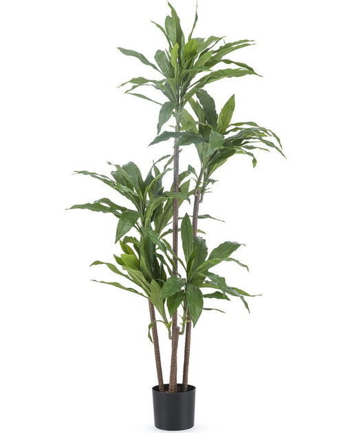 Dracena Fragnans - Stor Konstgjord Växt