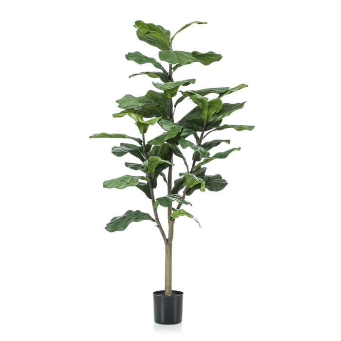 Emerald Artificiell Ficus Lyrata 120 Cm