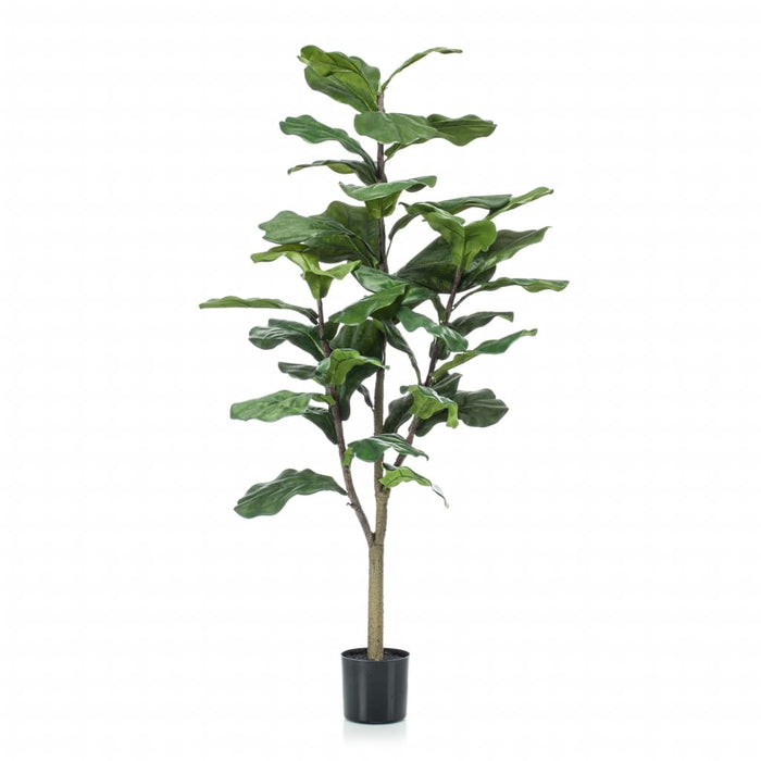 Emerald Artificiell Ficus Lyrata 120 Cm