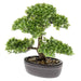 Emerald Mini Artificiell Ficus Bonsai Grön 32 Cm