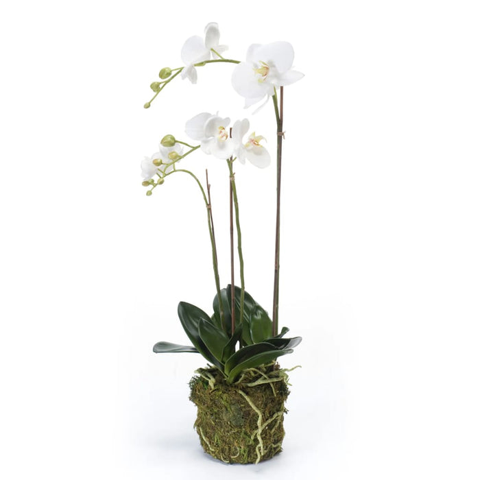 Emerald Artificiell Phalaenopsis Orchid 70 Cm Vit