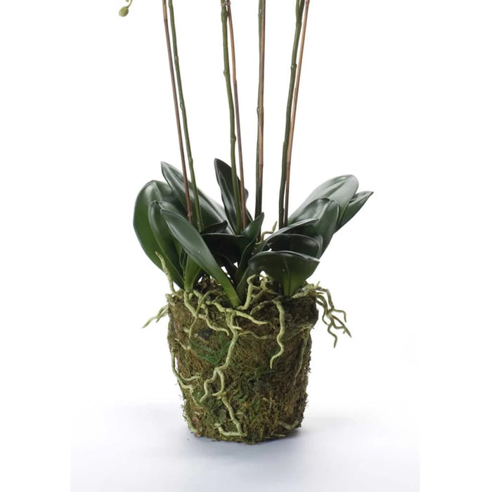 Artificiell Emerald Phalaenopsis Med Vitt Skum 90 Cm