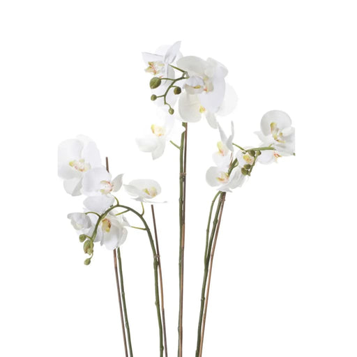 Artificiell Emerald Phalaenopsis Med Vitt Skum 90 Cm