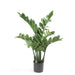 Emerald Zamioculcas Artificiell 70 Cm