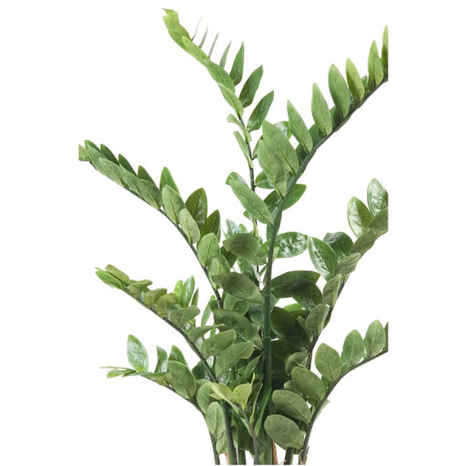 Emerald Zamioculcas Artificiell Grön 110 Cm 11.662C