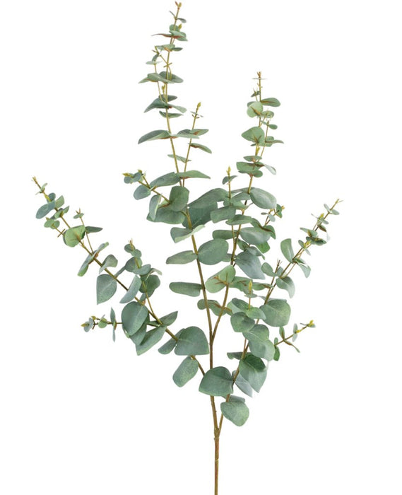 Eucalyptus - Konstgjorda Bladverk