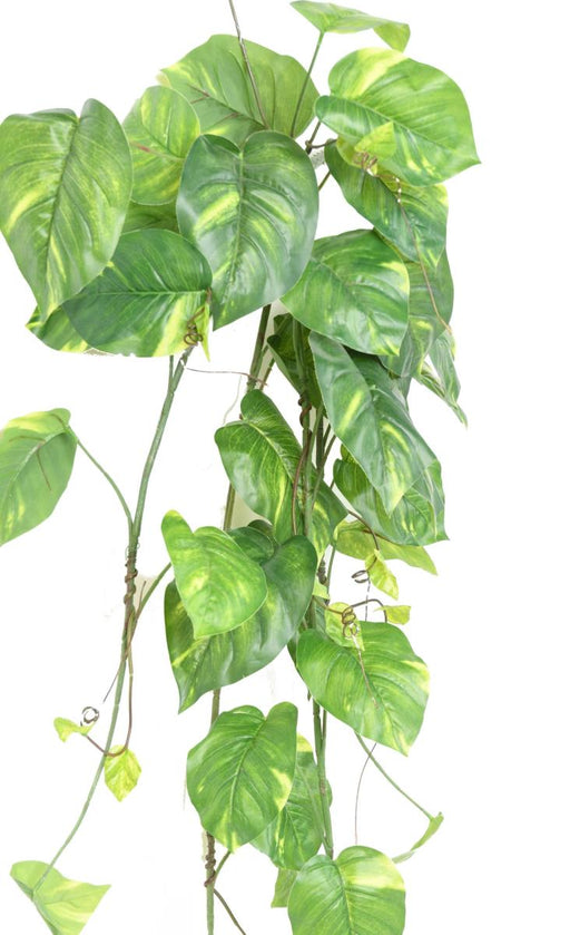 Artificiellt Blad Philodendron H.130Cm Brokig