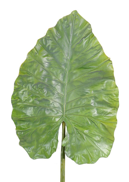 Konstgjorda Alocasia Löv H.160Cm För Dekoration