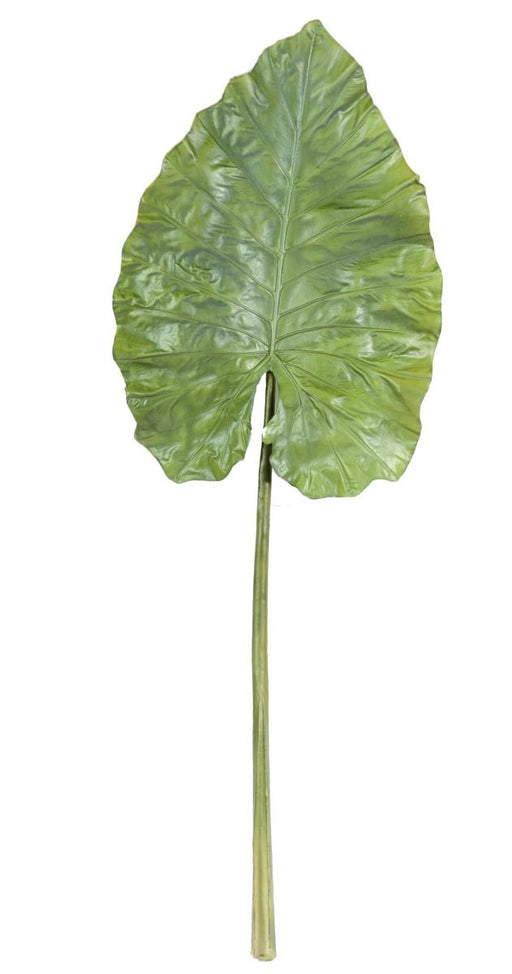 Konstgjorda Alocasia Löv H.160Cm För Dekoration