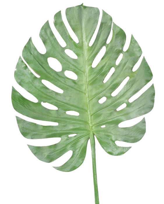 Artificiell Monstera Leaf 120Cm Inredning