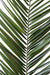 Artificiell Phoenix Canariensis Palmblad 150 Cm