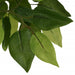 Konstgjord Ficus 1008 Blad 180 Cm Grön