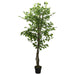 Konstgjord Ficus 1008 Blad 180 Cm Grön