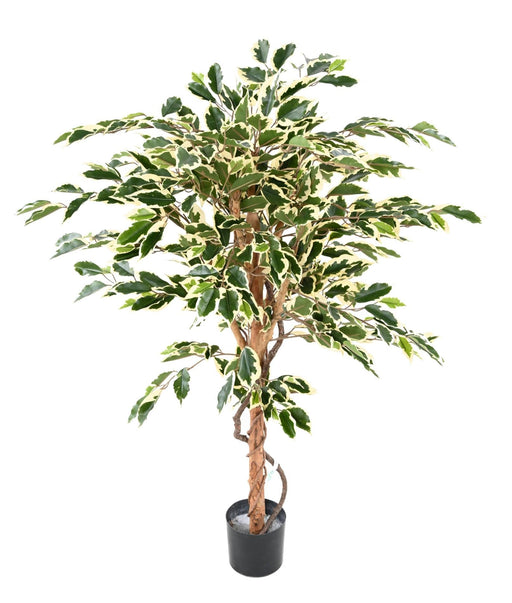 Konstgjord Ficus 120 Cm Brokig Med Naturlig Stam