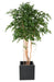 Konstgjord Ficus 260 Cm Grön Inomhusväxt