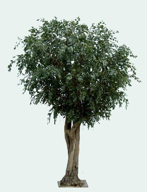 Jättekonstgjord Ficus 350 Cm Inomhusväxt