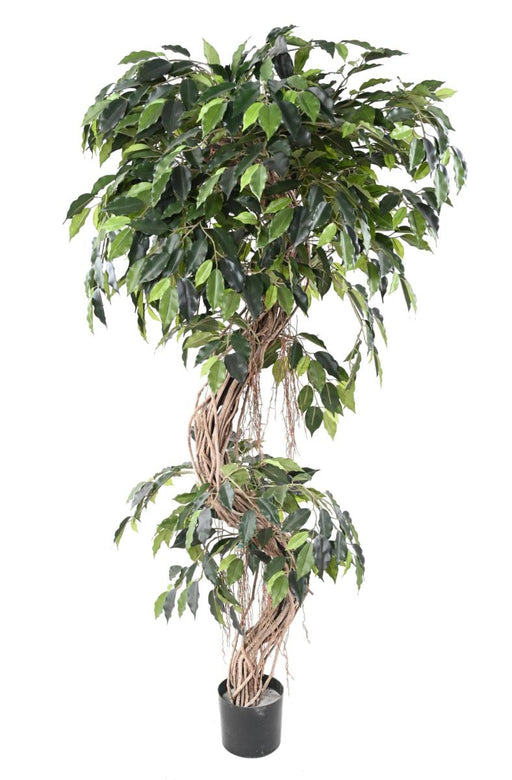 Konstgjord Ficus Lianas 180 Cm Inomhusväxt