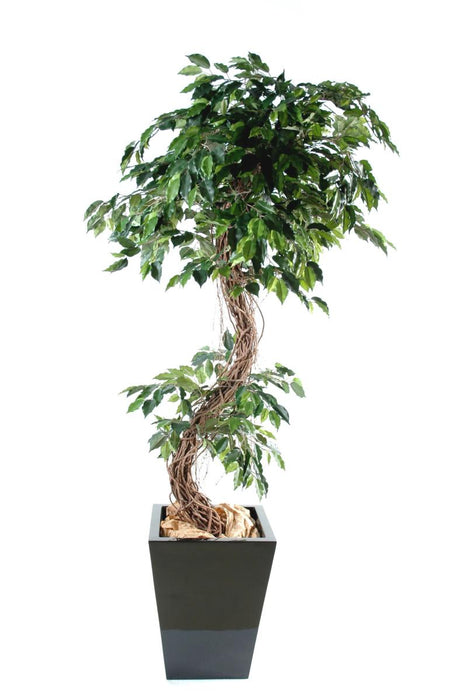 Konstgjord Ficus Lianas 180 Cm Inomhusväxt