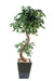 Konstgjord Ficus Lianas 180 Cm Inomhusväxt