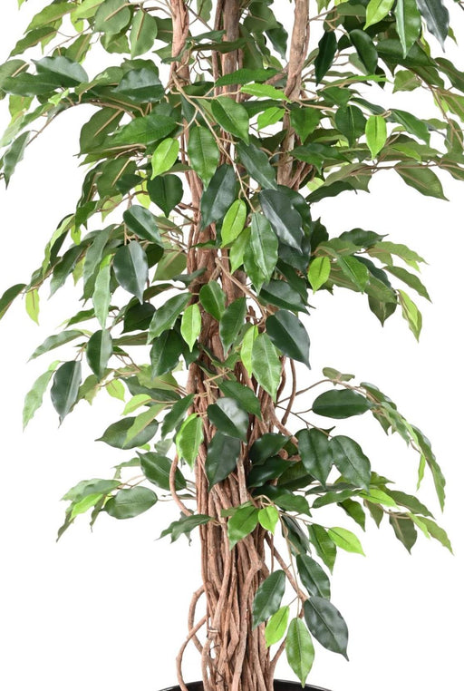 Konstgjord Ficus Lianas 180 Cm Grön Inomhusväxt