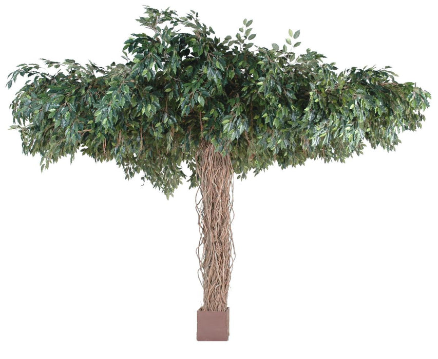 Konstgjord Ficus Lianas Paraply 320 Cm Inomhusväxt